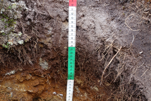 Erhebung Bodeneigenschaften